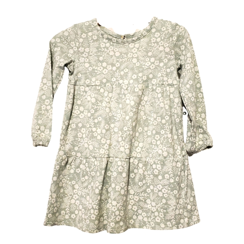 NWT Little Co. Baby Floral Print Dress 18M